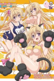 Baka Na Imouto O Rikou Ni Suru No Wa Ore No XX Dake Na Ken Ni Tsuite Online