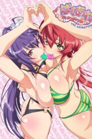 Baku Ane: Otouto Shibocchau Zo! The Animation Online