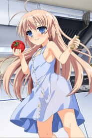 Hajimete no Orusuban Online