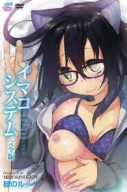 Imako System Online
