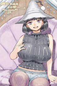 Majo wa Kekkyoku Sono Kyaku to… The Animation Online