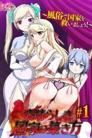 Subarashiki Kokka no Kizukikata Online