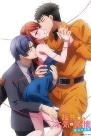 Yubisaki kara Honki no Netsujou 2: Koibito wa Shouboushi Online