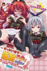 Zettai Junshu Kyousei Kozukuri Kyokashou!! Online